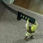 Profile Picture of Roy Duque (@rex_androy) on Instagram