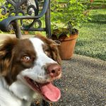 Profile Picture of Andrew Kral (@koolaid328i) on Instagram