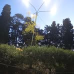 Profile Picture of Rosa Bordon (@Rosa-Bordon) on Facebook