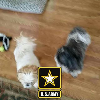 Profile Picture of Greg Spitler (@greg.spitler.96) on Facebook