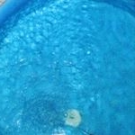 Profile Picture of nr: 045560307 +37745533405 (@pishinameti) on Instagram