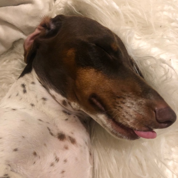 Profile Picture of Jayne Altaffer (@jayne2style) on Poshmark