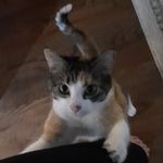 Profile Picture of Lindsey Gunter (@lindsey_g127) on Instagram