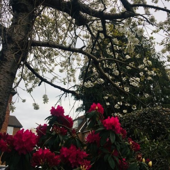 Izabela Iza - Poshmark Profile Picture of Izabela Iza (@izabellapor) on Poshmark