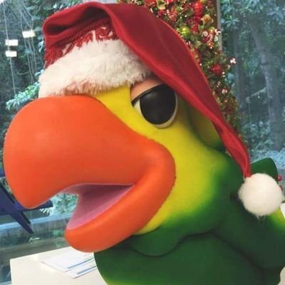 Profile Picture of Louro José (@LouroJoseOfc) on Twitter