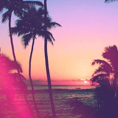 Profile Picture of Peyton (@AlexisWicker3) on Twitter