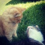 Profile Picture of Mandy Zimmermann (@zimmermann1850) on Instagram