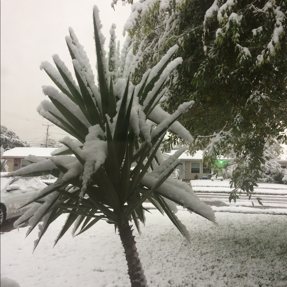 Profile Picture of Lisa Zapata (@liza0712) on Poshmark