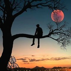 Profile Picture of Paul Hachem396 (@paulhachem0) on Tiktok