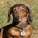 Profile Picture of Clark McNutt (@clark.mcnutt.75) on Facebook
