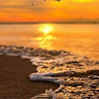 Profile Picture of Imelda De Fatima Campos López (@imelda-de-fatima-campos-lópez) on Quora