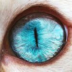 Profile Picture of J O H N W O O N (@john_wooon) on Instagram