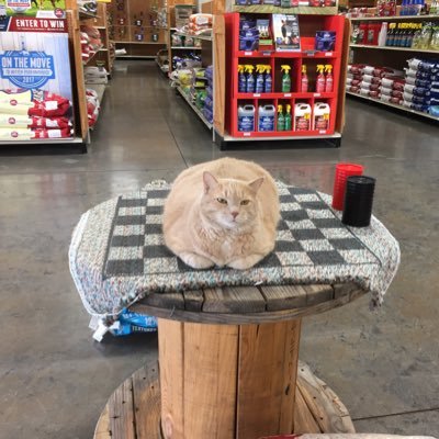 Profile Picture of Heather Ragan (@RaganHeather) on Twitter