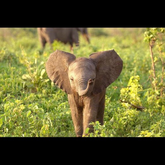 Profile Picture of Lisette Delgado (@little_lisiexox) on Poshmark