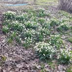 Profile Picture of David Hering (@David-Hering) on Facebook