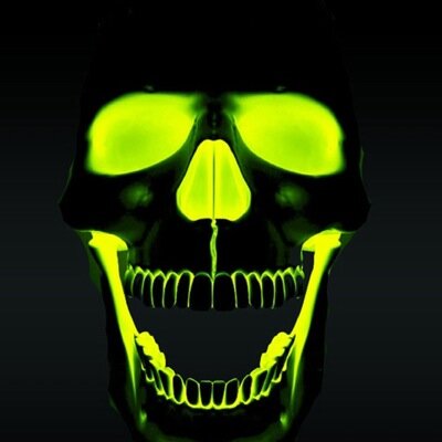 Profile Picture of Gabriel Simard (@gabrielsimard4) on Twitter