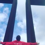 Profile Picture of Robert Ernest (@savedsheepdog777) on Instagram