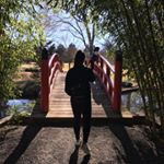 Profile Picture of Daniel Cui (@daniel_cui_ceramics1) on Instagram