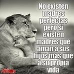 Profile Picture of juana (@juana.frausto) on Instagram