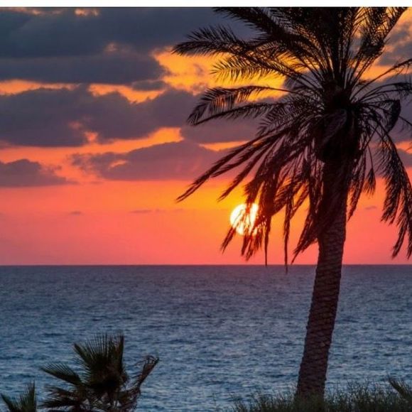 Profile Picture of Erika Erika (@erikaerika320) on Poshmark