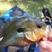 Profile Picture of John Stubblefield (@john.stubblefield.520) on Facebook
