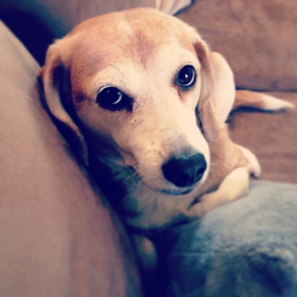 Profile Picture of Sara Schnably (@sschnably) on Poshmark