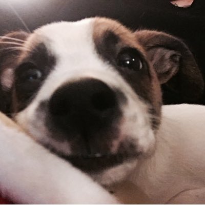 Profile Picture of Tom Ventresca (@TomVentresca) on Twitter