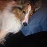 Profile Picture of Brad Fink (@12dude) on Instagram