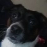 Profile Picture of Marc Taylor (@marctaylor69) on Instagram