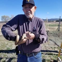 Profile Picture of Steven Marble (@steven.marble) on Tiktok