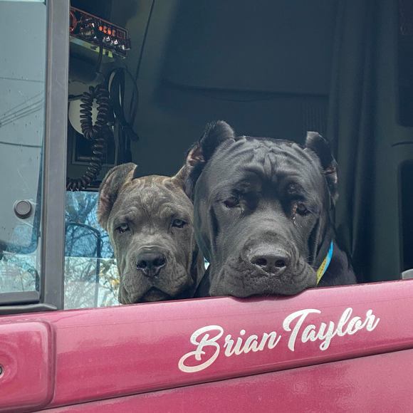 Profile Picture of Brian Taylor (@bat923) on Poshmark