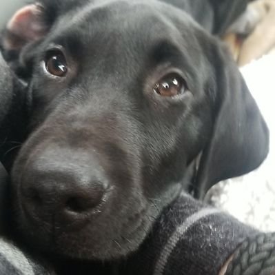 Profile Picture of Pete Pasienza (@PasienzaPete) on Twitter