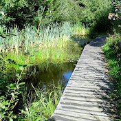 Profile Picture of Keith Pugh (@keithpugh2263) on Youtube