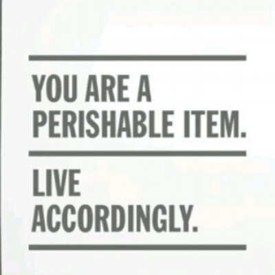 Profile Picture of 'Nova Stevens (@StanleyNova) on Twitter