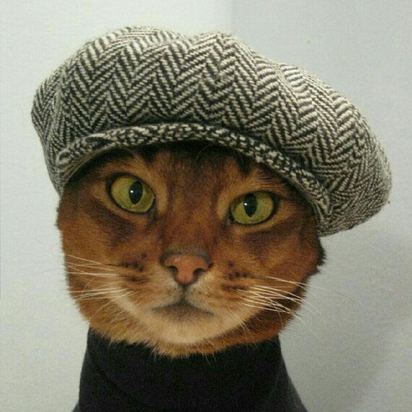 Profile Picture of Missy Pelleteri (@mpellete) on Poshmark