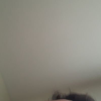 Profile Picture of Zachary Knapp (@TeamRaidGs) on Twitter