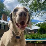 Profile Picture of Truman Stephens (@trumanstephens) on Instagram