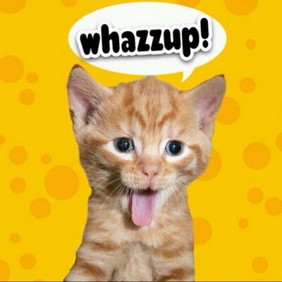 Profile Picture of Jacob Kroll (@jakek6969) on Twitter