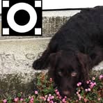 Profile Picture of Bonnie Scotts Castles Filewood (@scotts.castles) on Facebook