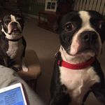 Profile Picture of Jean Fowler (@jean.fowler.739) on Instagram