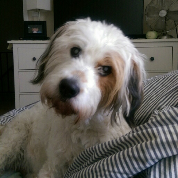 Profile Picture of Nikki Bateman (@nbateman02) on Poshmark