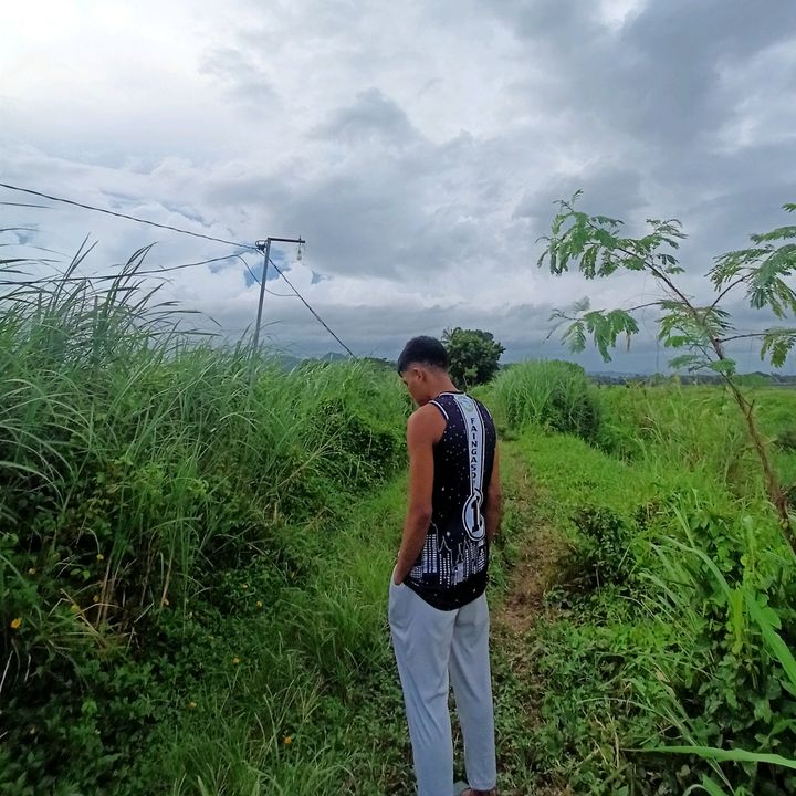 Profile Picture of Richard Faingason Jr (@faingason1) on Tiktok