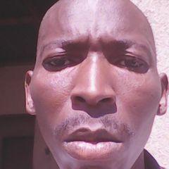 Profile Picture of Robert Everest (@robertvrst) on Twitter