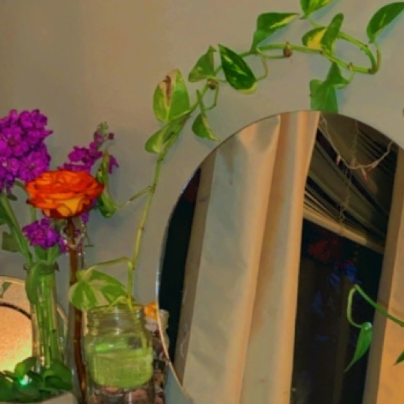 Profile Picture of Alexia Castaneda (@alexiacastan699) on Poshmark