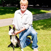 Profile Picture of Robin Bell Sheep Dogs (@robinbellsheepdogs6036) on Youtube