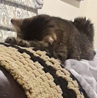 Profile Picture of Pamela Rexing Lee (@pamela.rexinglee) on Facebook