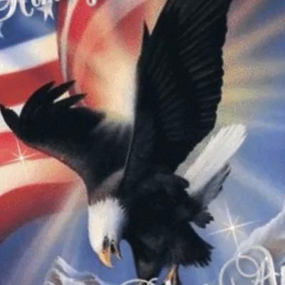 Profile Picture of DWB (@David1Blanton) on Twitter