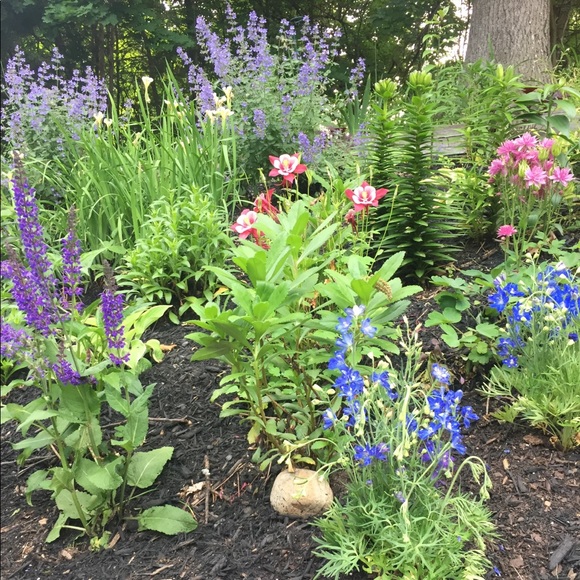 Elise Gentilucci - Poshmark Profile Picture of Elise Gentilucci (@moenatick) on Poshmark