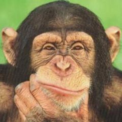 Profile Picture of Jeffory Greer (@TheGrizzlyGreer) on Twitter