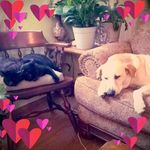 Profile Picture of Connie Barry (@ferrit61) on Instagram